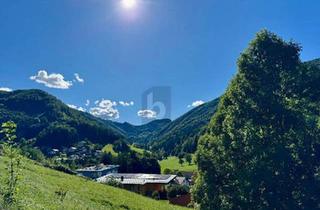 Grundstück zu kaufen in 3340 Waidhofen an der Ybbs, RUHE, SONNE & AUSBLICK - STADTNAH UND FAMILIENFREUNDLICHES GRUNDSTÜCK