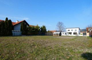 Grundstück zu kaufen in 7121 Weiden am See, WOHNEN IM EINKLANG MIT DER NATUR SEENÄHE