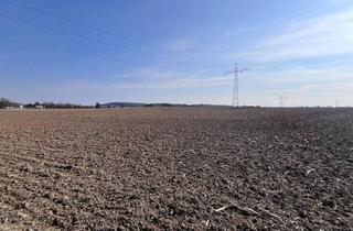 Grundstück zu kaufen in 4975 Suben, Grundstück zum Entwickeln