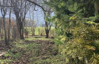  in Kräuterhofweg 41e, 5020 Salzburg, Gemüsegarten Obstgarten Kleingarten