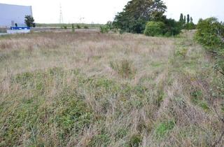 Immobilie mieten in 2325 Himberg, Lagerplatz, KFZ- Abstellflächen, Containerlager...