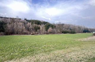 Gewerbeimmobilie kaufen in 4782 Sankt Florian am Inn, Waldfläche in St. Florian zu verkaufen!