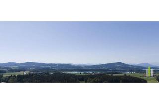 Gewerbeimmobilie kaufen in 5165 Berndorf bei Salzburg, Vielseitige Gewerbeimmobilie: Büro-, Werkstätten-, Lager- & Ausstellungshalle in OÖ!!