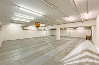 Büro zu mieten in Paul-Hahn-Straße 1 - 3, 4020 Linz, Lagerflächen von 100m² - 170 m² im PAUL HAHN CENTER!