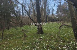 Grundstück zu kaufen in 3021 Pressbaum, Ihr Traumgrundstück im Grünen! Gestalten Sie Ihr neues Zuhause zum absoluten Spitzenpreis!