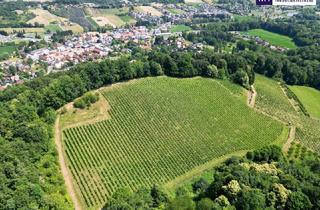Grundstück zu kaufen in 8462 Gamlitz, IHRE EIGENEN CHALETS! TRAUMHAFTES GRUNDSTÜCK AN DER SÜDSTEIRISCHEN WEINSTRASSE! Ein Ausblick der Ihnen die Sprache verschlagen wird - im schönsten Teil der grünen Steiermark!