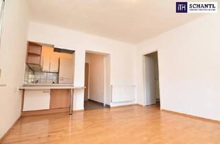 Wohnung kaufen in Mariatroster Straße, 8043 Graz, MARIATROST: Sanierungsbedürftige Wohnung in guter Lage - Die perfekte Allrounder-Wohnung! Zwischen Natur, Stadt und Lebensqualität wartet Ihr neues Kapitel – ruhig, sonnig und voller Möglichkeiten!