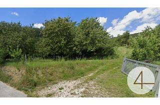 Grundstück zu kaufen in Schulgasse, 3134 Nußdorf ob der Traisen, Traumgrundstück in ruhiger Zentrumslage