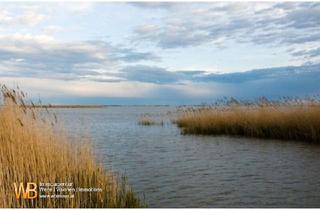 Grundstück zu kaufen in 7072 Mörbisch am See, Röhricht/Schilf und Wasserfläche in Mörbisch, 3 Grundstücke, zusammen 7 ha