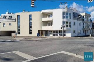 Wohnung mieten in Hauptstraße 1A WE 2/4, 2482 Münchendorf, Junges Wohnen: 2-Zimmerwohnung mit Terrasse