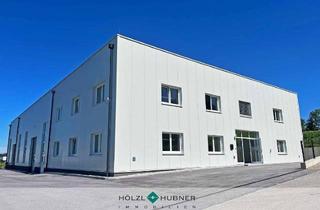 Büro zu mieten in 4894 Oberhofen am Irrsee, Büroflächen mit optionalem Hallenanteil in neuwertiger Betriebsliegenschaft zur Miete