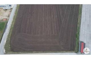 Grundstück zu kaufen in 2282 Markgrafneusiedl, Gewerbegrundstück mit optimaler Verkehrsanbindung !