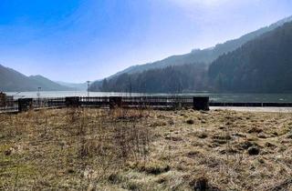 Grundstück zu kaufen in Sarmingstein, 4382 Sarmingstein, Einzigartiges Donaugrundstück im Strudengau – 2.324 m² Naturparadies in St. Nikola an der Donau