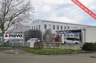 Grundstück zu kaufen in 2511 Pfaffstätten, Betriebsgebäude mit Produktionsflächen und Büros in Pfaffstätten