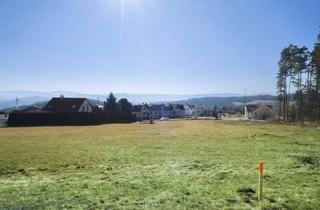 Grundstück zu kaufen in 2840 Hochegg, [06742] 4 Sonnige Baugründe im Luftkurort Hochegg, im Herzen der Buckligen Welt