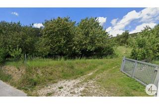 Grundstück zu kaufen in Schulgasse, 3134 Nußdorf ob der Traisen, Traumgrundstück in ruhiger Zentrumslage