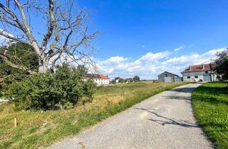 Grundstück zu kaufen in Dorfstraße 28, 4482 Ennsdorf, „Ruhiges Baugrundstück mit 788 m² – Natur, Infrastruktur & Donauradweg vor der Haustür“
