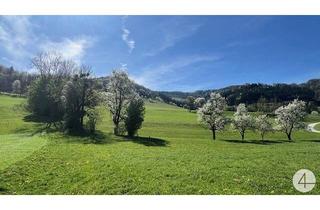 Grundstück zu kaufen in 3263 Perwarth, Sonniges Baugrundstück in wunderschöner Lage im Mostviertel!