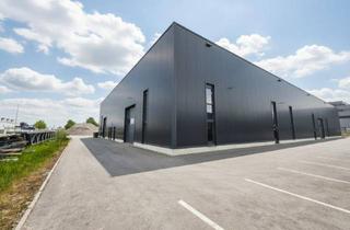 Büro zu mieten in Glaserweg 20, 6890 Lustenau, Ihr neuer Logistik-Standort am Millennium Park Lustenau: 557 m² große Lagerhalle zu vermieten!