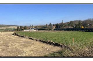 Grundstück zu kaufen in 2124 Niederkreuzstetten, Baugrundstücke in Niederkreuzstetten in traumhafter Lage im Herzen des Weinviertels