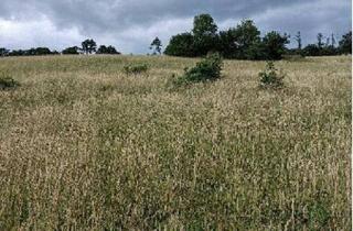 Grundstück zu kaufen in 3051 Gottleitsberg, #SQ - € 225 pro m² - GRUNDSTÜCK MIT 2000m² BAULAND - BLICK IN HOCHEICHBERG BEI ALTLENGBACH