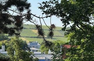 Wohnung kaufen in Steinfeldgasse, 1190 Wien, Stilvolle Wohnung in Bestlage: hell, hochwertig und energieeffizient