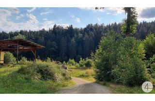 Gewerbeimmobilie kaufen in 3874 Litschau, Gewerbeobjekt - gewerbliche Tierhaltung möglich!