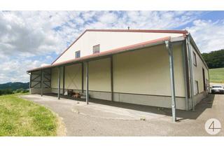 Büro zu mieten in 4381 Sankt Nikola an der Donau, Beheizbare Halle zu vermieten!