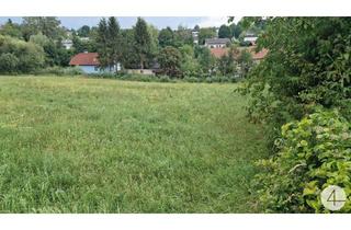Grundstück zu kaufen in 4600 Thalheim bei Wels, MB Mischbaugebiet Thalheim bei Wels neben der B138