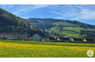 Grundstück zu kaufen in 3263 Perwarth, Im Mostviertel blühen wieder die Bäume ... - Baugründe in wunderschöner, sonniger Lage!