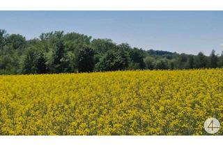 Grundstück zu kaufen in 4770 Andorf, Ackerflächen 5,14 ha Nähe Andorf