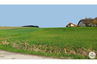 Grundstück zu kaufen in 3532 Rastenfeld, Neuvermessung! Baugrund am Ortsrand!