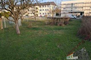 Grundstück zu kaufen in 4702 Wallern an der Trattnach, 1600 m2 Baugrund Fixpreis € 299.000,-