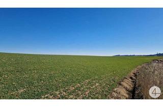 Grundstück zu kaufen in 4710 Pollham, Baugründe in Pollham sonnig in erhöhter Lage