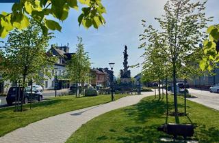 Wohnung mieten in Am Hauptplatz - Zentrum, 2115 Ernstbrunn, Leben am Hauptplatz von Ernstbrunn - im Herzen des Weinviertels