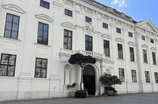Büro zu mieten in Freyung, 1010 Wien, Einzigartige Bürofläche im prachtvollen Barockpalais - zu mieten 1010 Wien