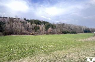 Grundstück zu kaufen in 4782 Sankt Florian am Inn, Waldfläche in St. Florian zu verkaufen!