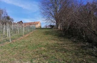 Grundstück zu kaufen in 8342 Gnas, Landwirtschaftliches Grundstück in Gnas