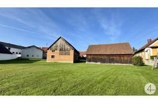 Haus kaufen in 3763 Japons, bezugsfertiges Haus mit viel Platz - zum Schnäppchenpreis