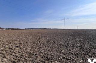 Grundstück zu kaufen in 4975 Suben, Grundstück zum Entwickeln