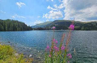 Wohnung kaufen in 8864 Turrach, Ski in - Ski out am Turracher See!