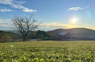 Grundstück zu kaufen in 8044 Graz, BEREITS 2 VON 4 VERKAUFT! Sonnige Aussichten garantiert – ein Grundstück für Ihr Traumhaus! Idyllisch & unvergleichlich! VEREINBAREN SIE JETZT IHREN BESICHTIGUNGSTERMIN!