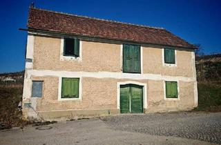 Gewerbeimmobilie kaufen in 3495 Rohrendorf bei Krems, „Pfarrerkeller“ in Top-Lage in Rohrendorf bei Krems