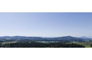 Gewerbeimmobilie kaufen in 5165 Berndorf bei Salzburg, Vielseitige Gewerbeimmobilie: Büro-, Werkstätten-, Lager- & Ausstellungshalle in OÖ!!