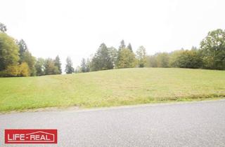 Grundstück zu kaufen in 4150 Rohrbach, Schafzucht, Pferdezucht,schöne, große landwirtschaftliche Nutzfläche, in ruhiger Lage