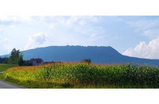 Grundstück zu kaufen in Panoramaweg 24, 8045 Graz, 1.590 qm Graz Umgebeung