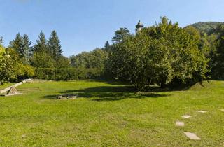 Grundstück zu kaufen in 2391 Kaltenleutgeben, Attraktiver Baugrund im Herzen von Kaltenleutgeben!