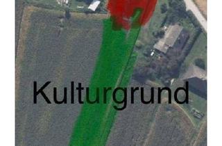 Grundstück zu kaufen in Golfplatzstraße, 8282 Loipersdorf bei Fürstenfeld, Bauland I Ackerland