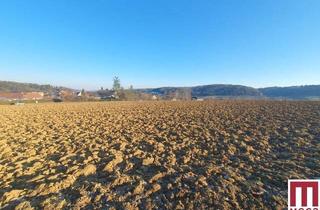 Grundstück zu kaufen in 8261 Sinabelkirchen, Attraktives Bauträgergrundstück in idyllischer Grünlage mit bester Anbindung