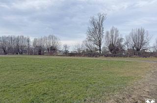 Grundstück zu kaufen in 6972 Fußach, Fußach: Grundstück in ruhiger Lage